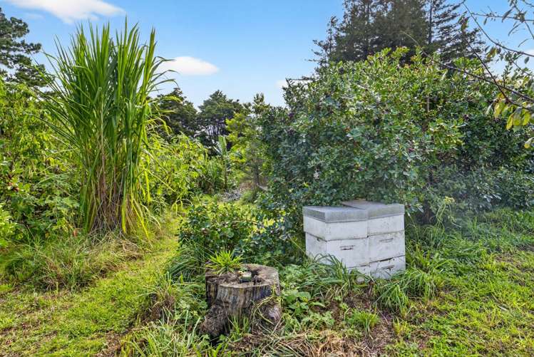 263A Raepare Creek Lane Kaiwaka_25