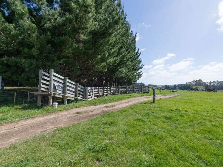 31 Ngongotaha Road Ngongotaha_4