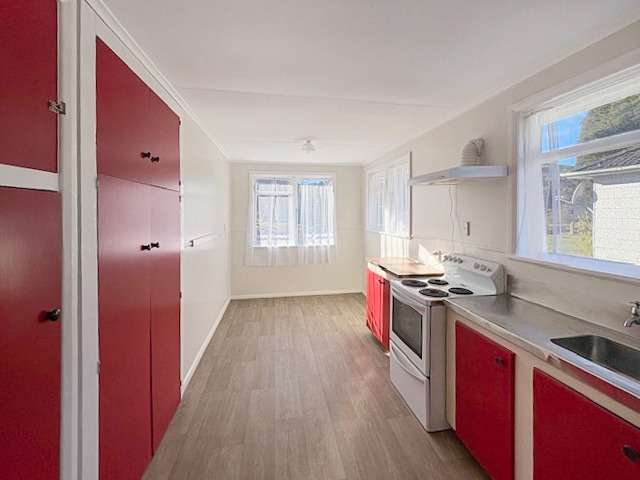 14 O'Reilly Crescent 1154_2