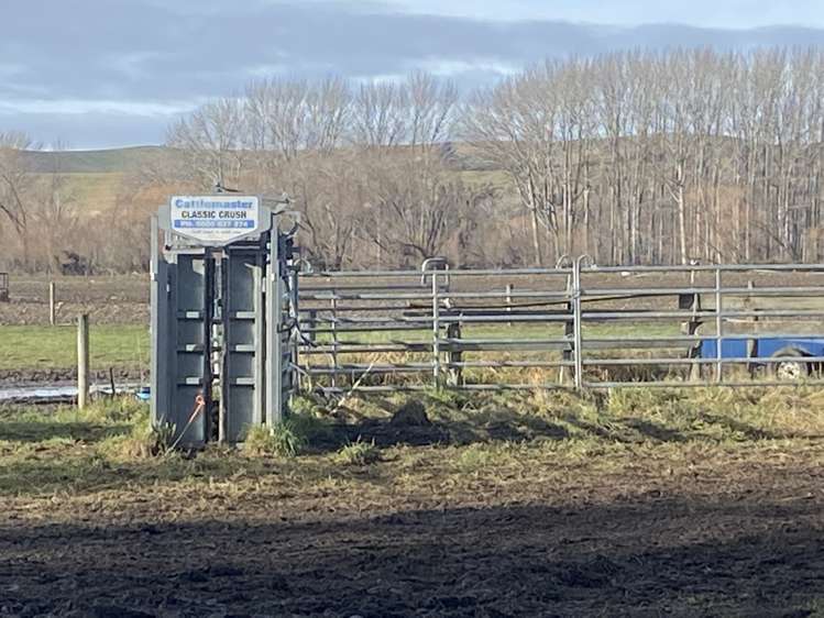 305 Tengawai Flat Road Pleasant Point_11