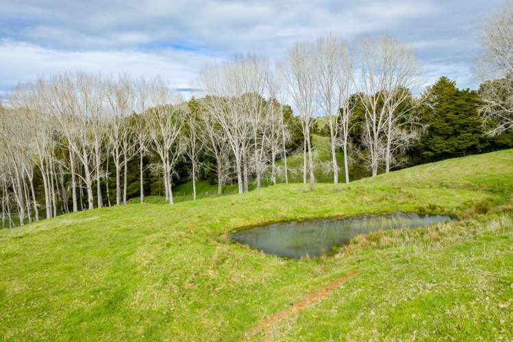 1891 Pipiwai Road Ruatangata_9