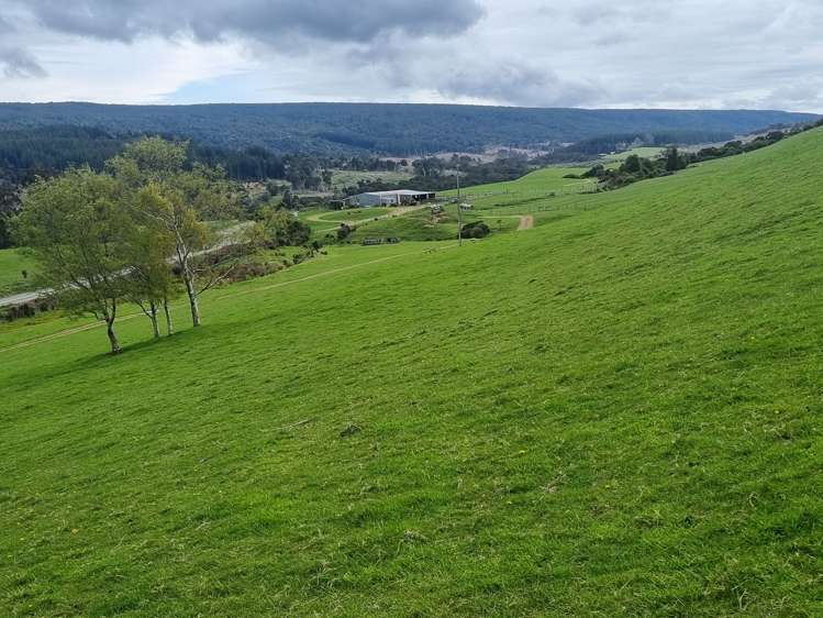 1384 Tahakopa Valley Road Catlins Surrounds_6