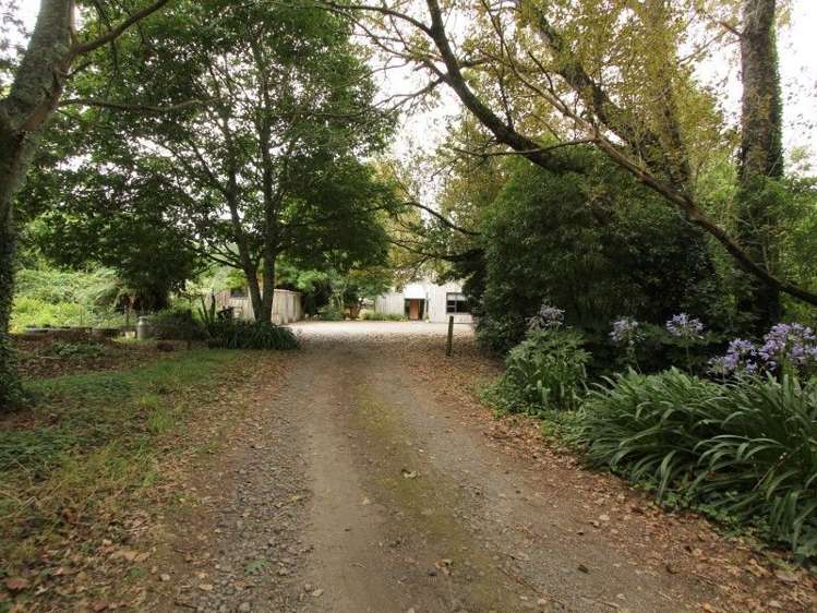 1059 Mountain Road Inglewood_31