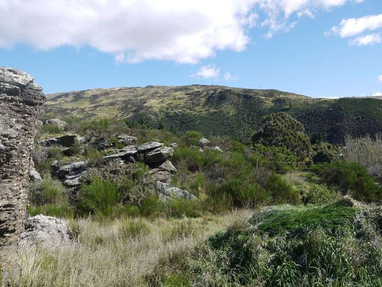 Teviot Street Roxburgh_17