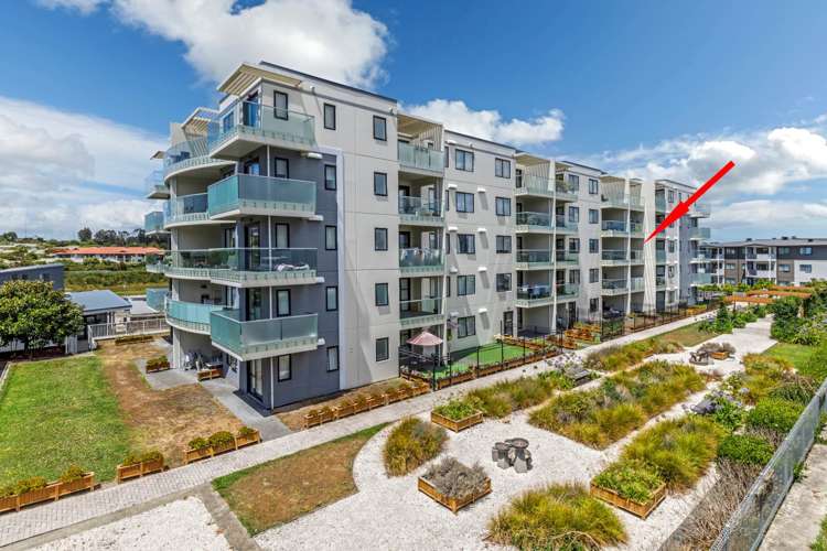 204/46 Rosedale Road Rosedale_12