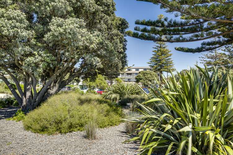 249 Marine Parade Napier South_10