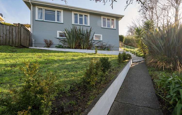 60 Emano Street Toi Toi_11