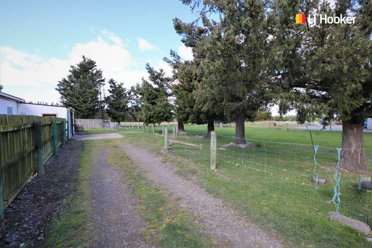 8 Olive Avenue Middlemarch_21