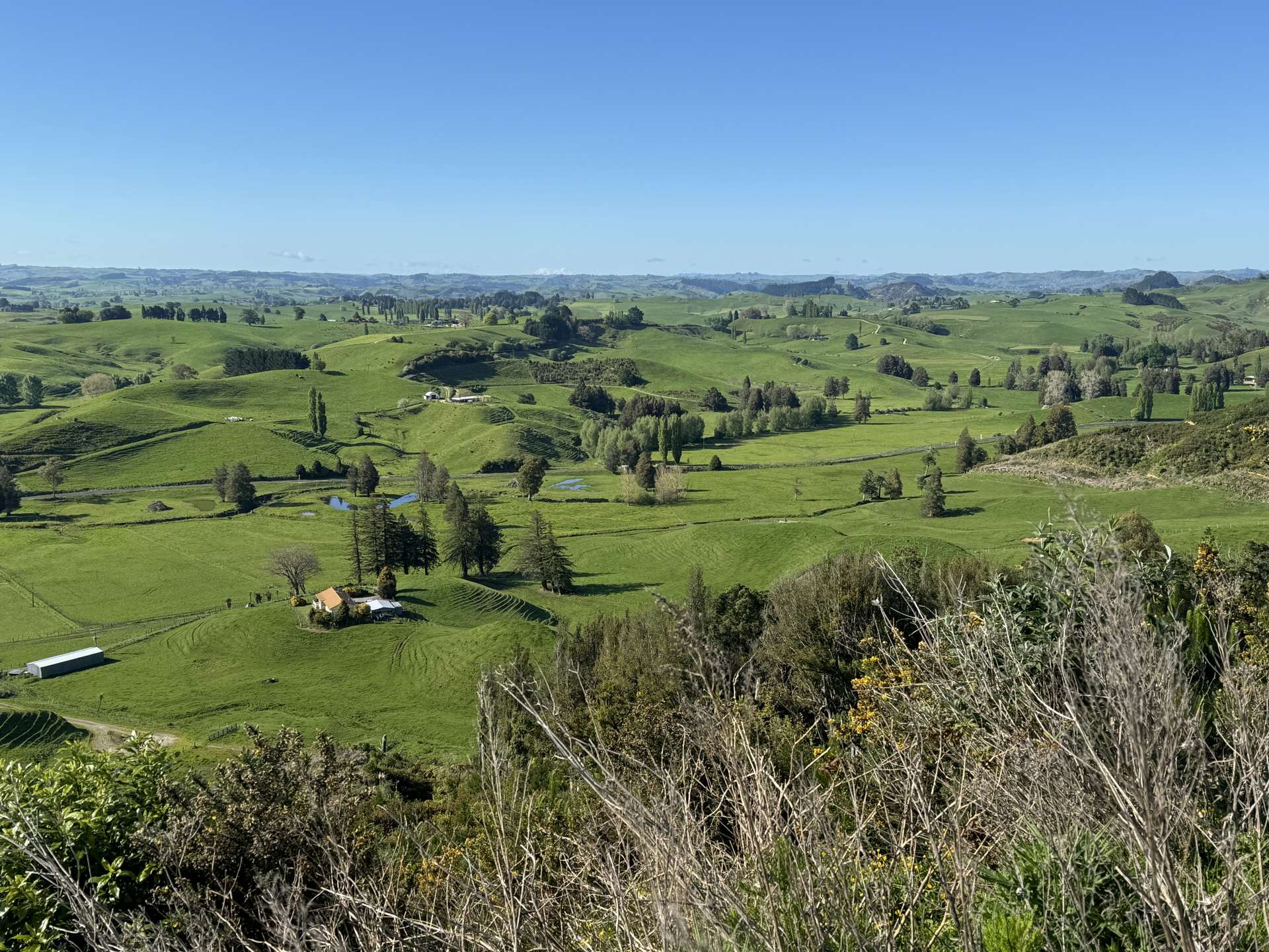 276B Waitomo Valley Road Otorohanga_0