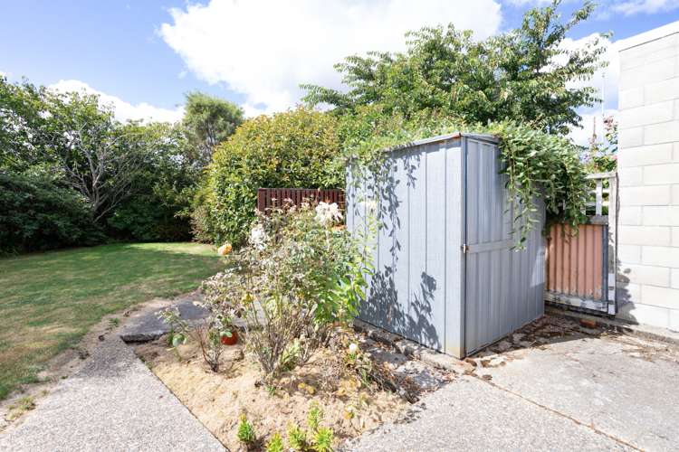 765 Queens Drive Waikiwi_10