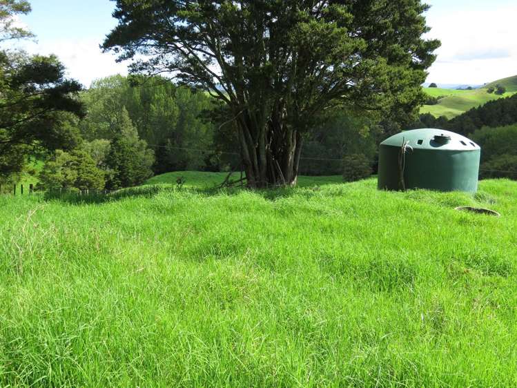 1877 Pipiwai Road Ruatangata_12