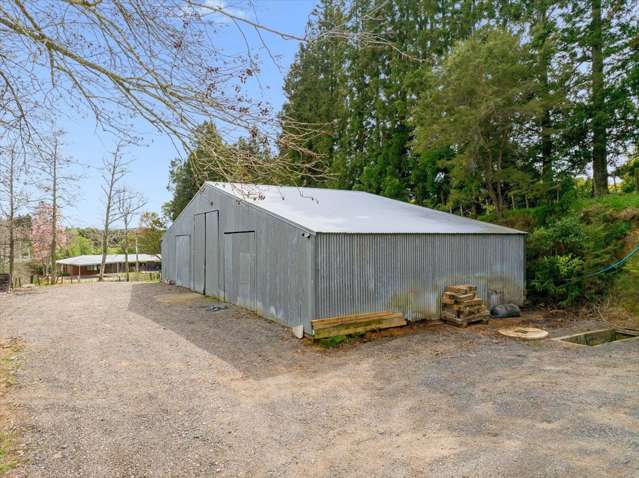 1538 State Highway 2 Whakamarama_1