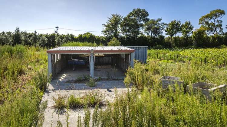 1778 Pakowhai Road Pakowhai_17