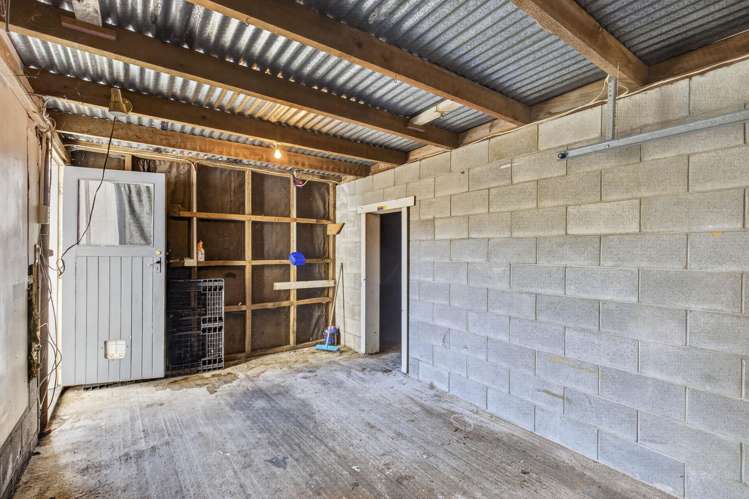 4/311 Carrington Street Vogeltown_18