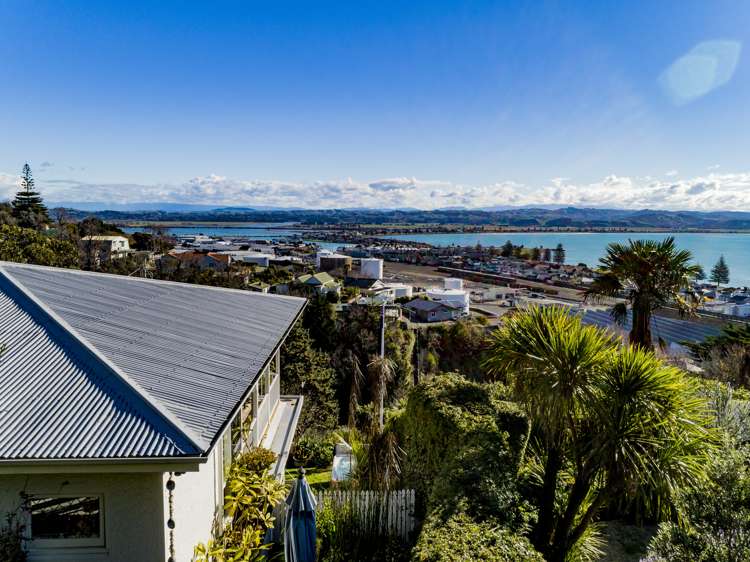 26a Roslyn Road Bluff Hill_18