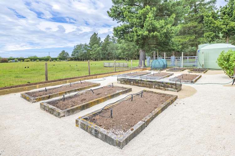 Address withheld Dunsandel_31