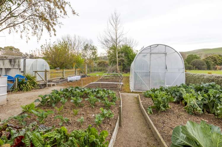 3 Higginson Street Otane_9