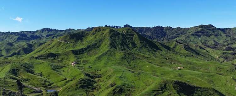 350 and 495 Otaihape Valley Road_0