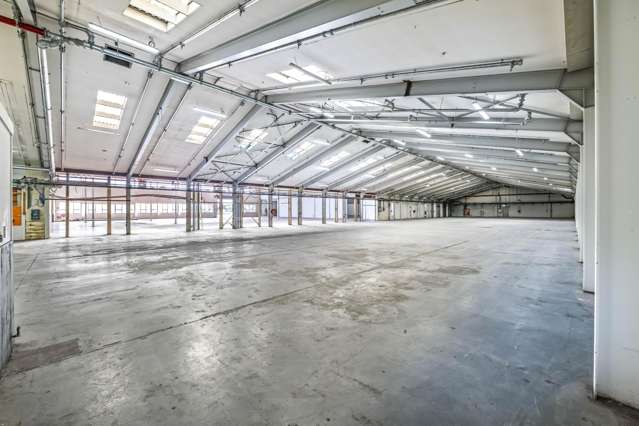 48 Wilkinson Road Ellerslie_3