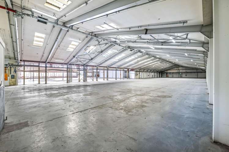 48 Wilkinson Road Ellerslie_3