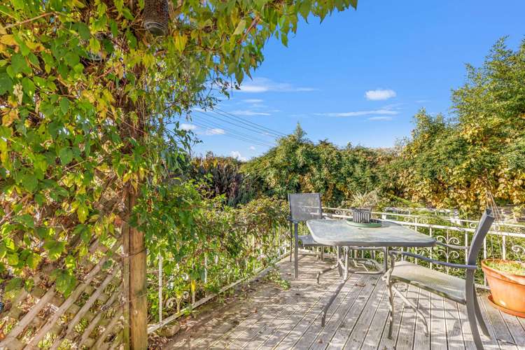 19 Hydro Road Edgecumbe_18