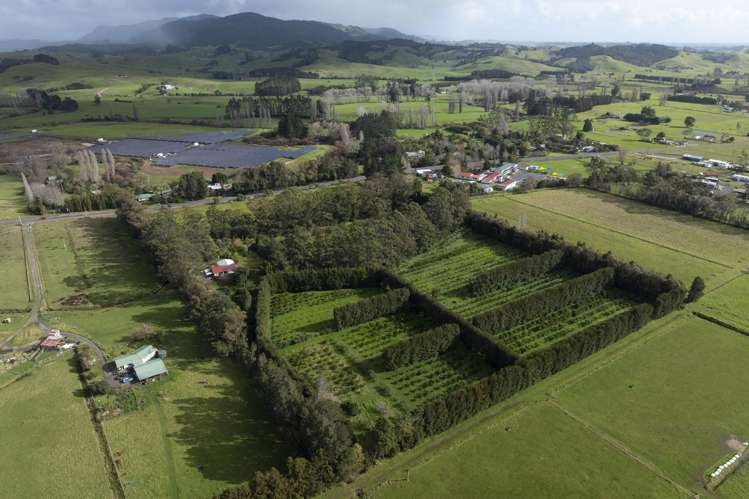 6934 State highway 1 Kaitaia Surrounds_23