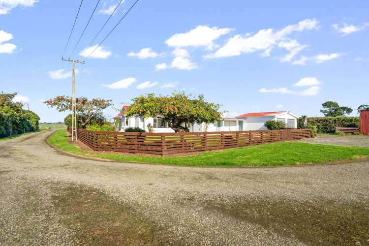 49 Roslyn Road Roslyn Bush_34