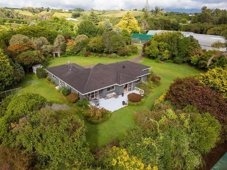 389 Old Highway Whakamarama_10