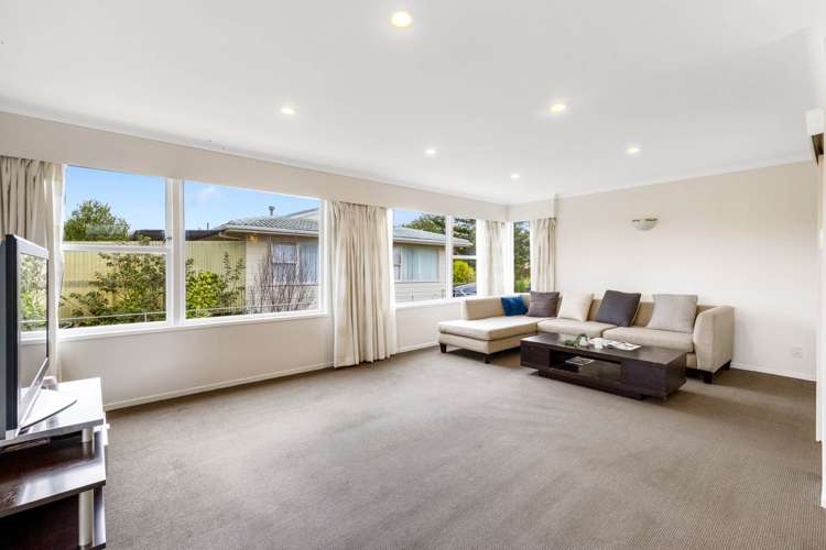 14 Tropicana Drive Mt Roskill_7