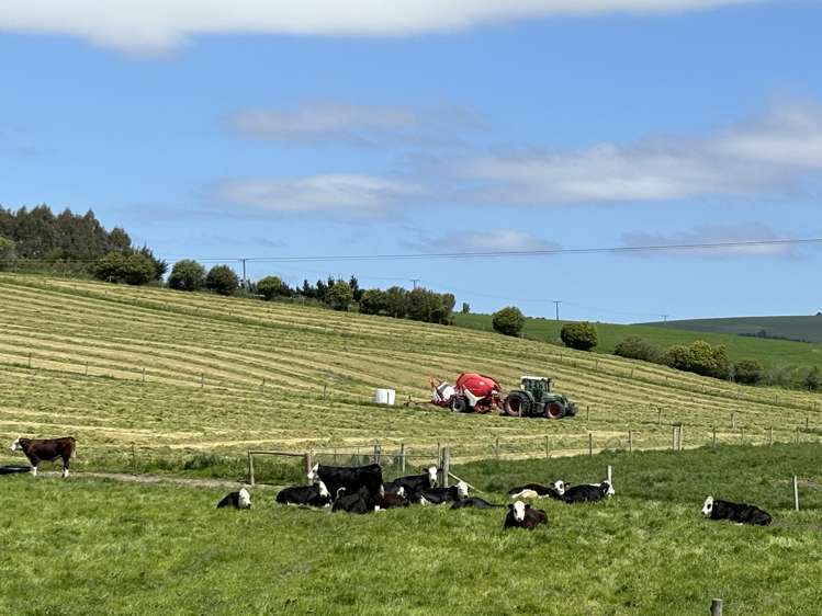 11 Irvine Road Herbert_18