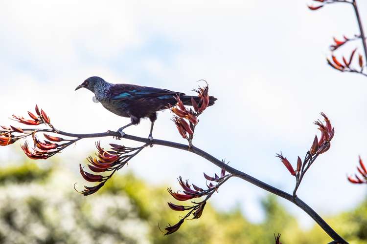 848a Carrington Road Hurworth_21