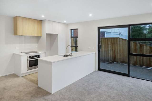  1/92 Oxford Terrace Epuni_1
