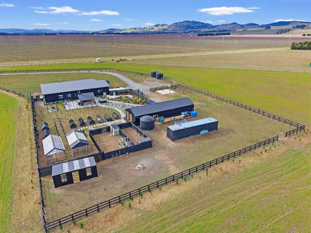 153 Innes Road Amberley_4