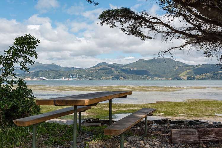 16 Michael Avenue Harwood_1