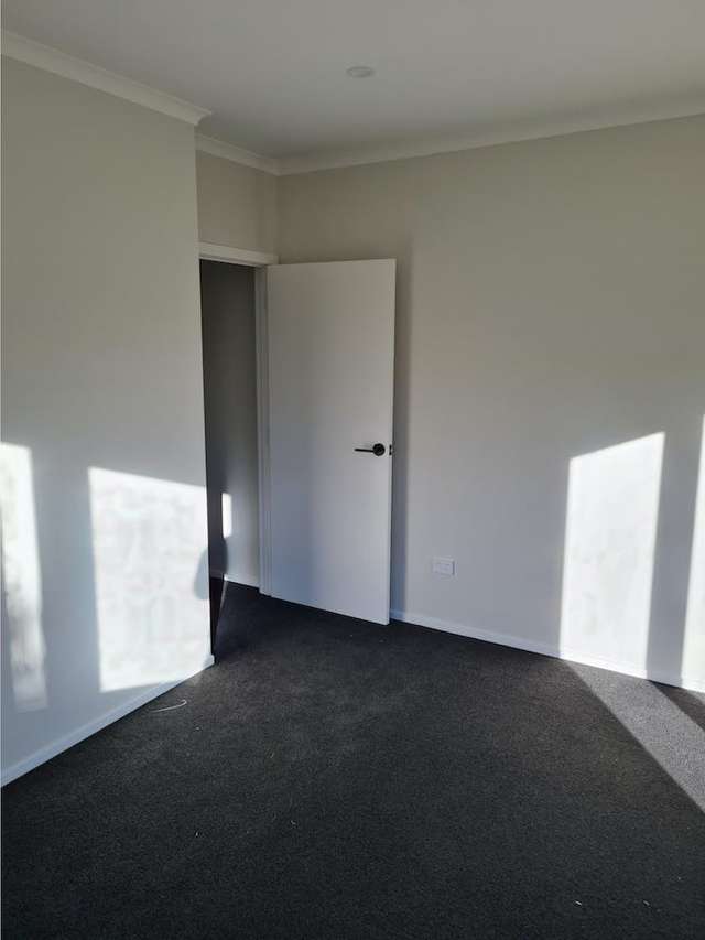 6a Cambridge Street Putaruru_4