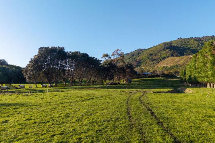 4 Reikorangi Road Waikanae_8