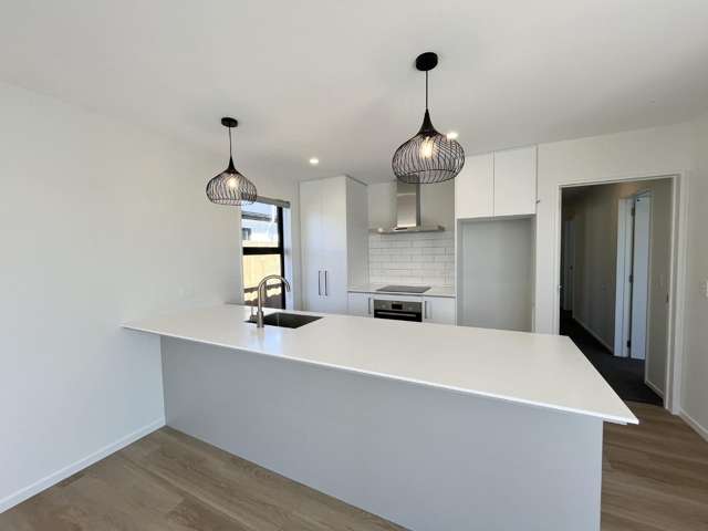 20 Mondo Drive 11103_1