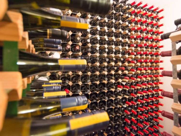 84 Tosswill Road Tahunanui_6