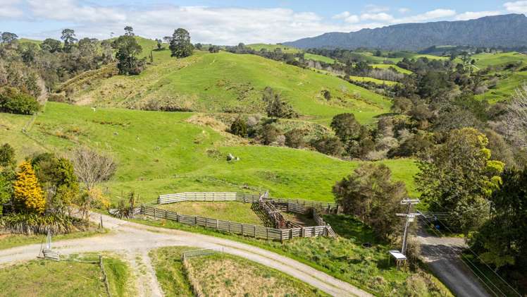 231 Walford Road Aongatete_19