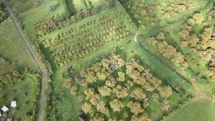 405 Tara Road Mangawhai_8