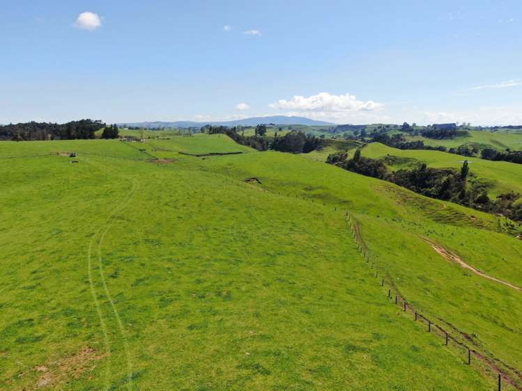 Ngaroma Road Wharepuhunga_3