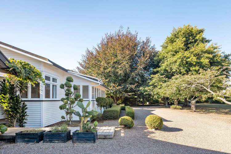 1242 Kaipaki Road Cambridge_38