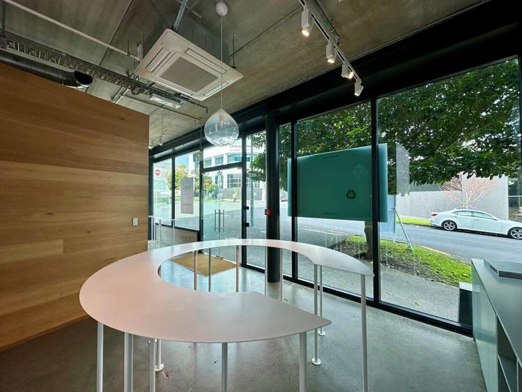 5 Crummer Road Grey Lynn_7