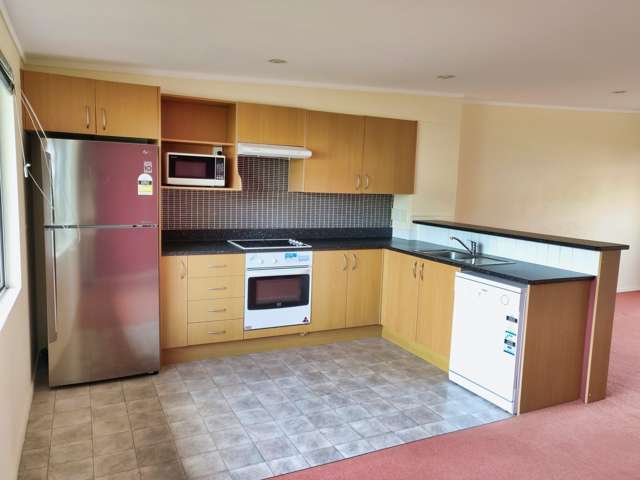 8/3 Kelvin Grove Te Aro_3