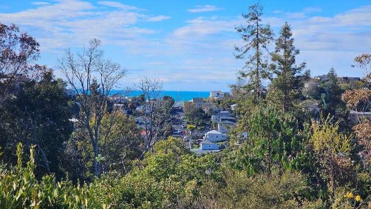 31 Montcalm Street_2