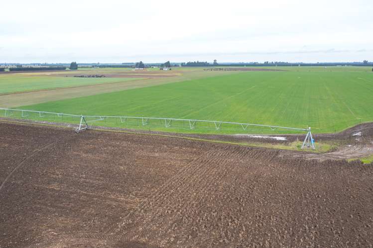 2915 West Coast Road Darfield_8