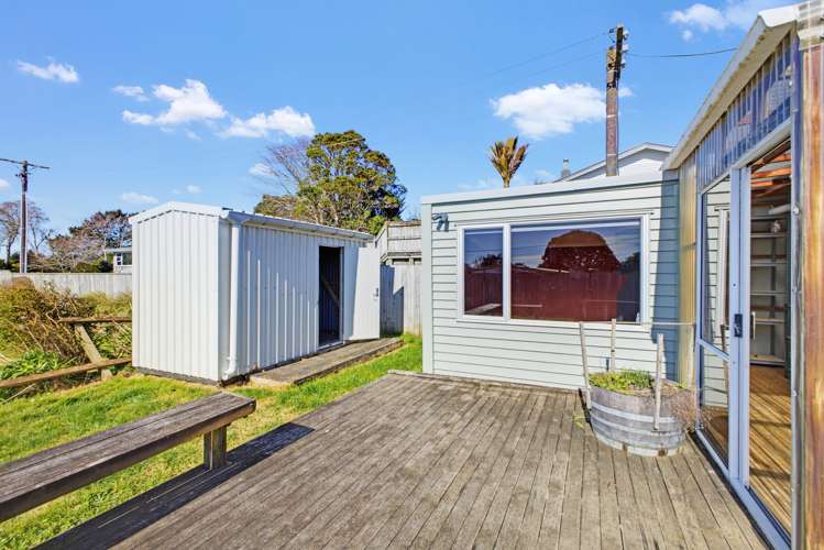 403 Carrington Street Vogeltown_29