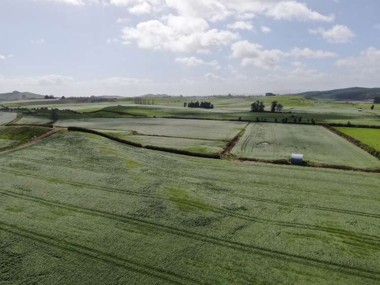 1375 State Highway 3 Otorohanga_29