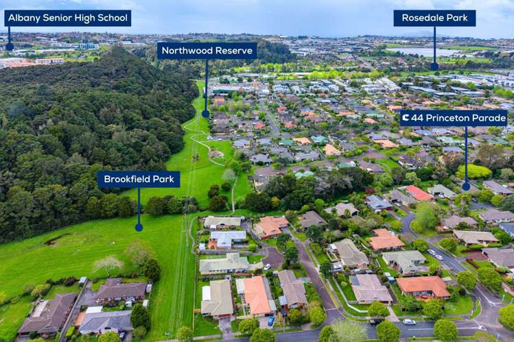 44 Princeton Parade Albany_24