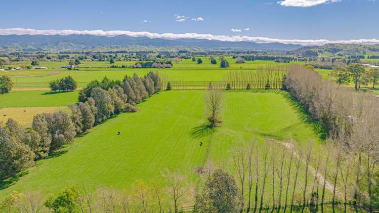 155 Willow Park Drive Opaki_15